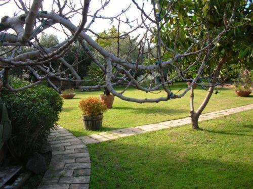Villa Chiarenza Maison D'Hotes จีอาร์ดีนี นักซอส ภายนอก รูปภาพ